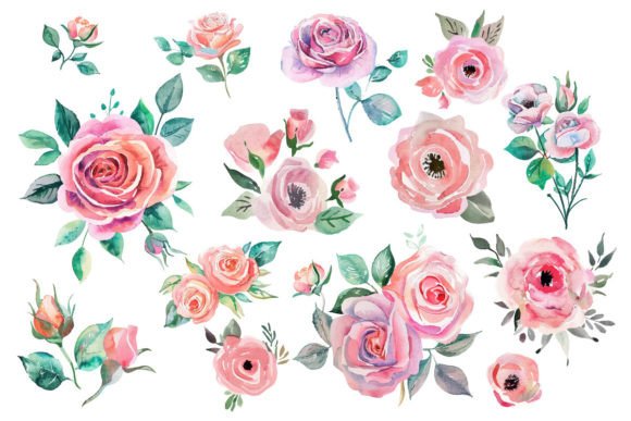 Download Watercolor Pink Rose Bouquet Png - Png Collection